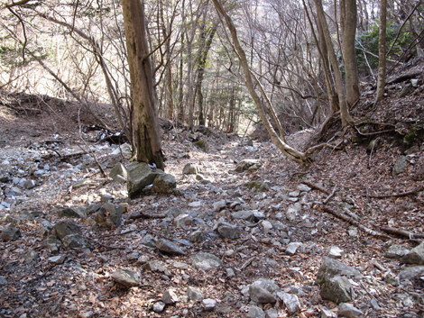 20160218hike (553)